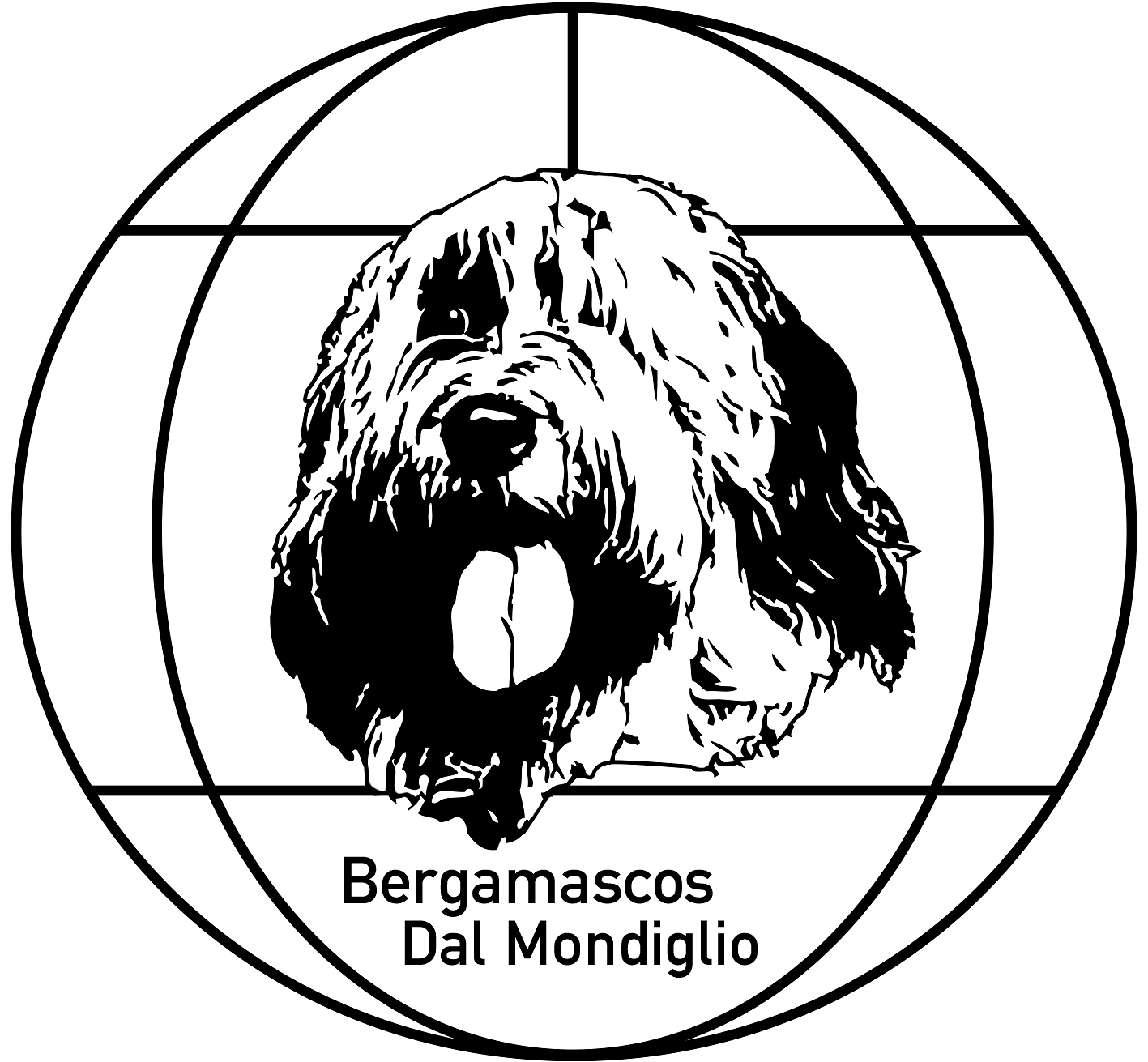 Bergamasker Hirtenhund Dal Mondiglio